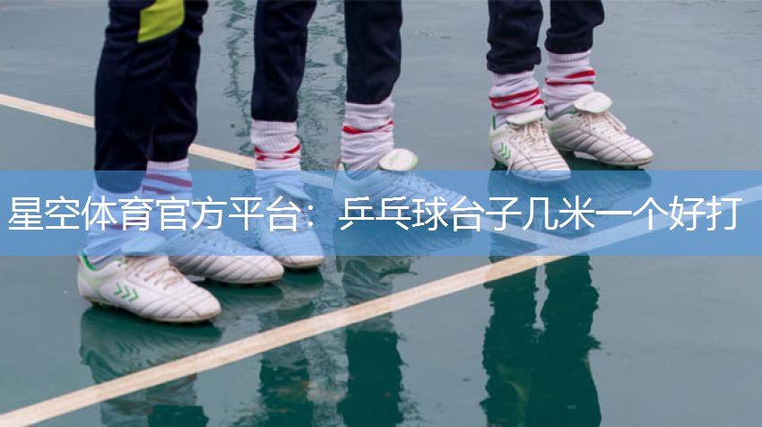 星空体育官方平台：乒乓球台子几米一个好打